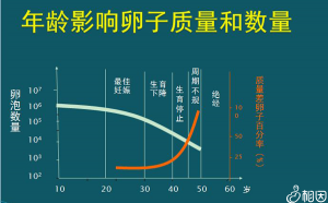 三代试管婴儿私立医院之北京海军总医院