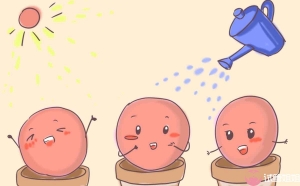 卵巢早衰可以在广州做供卵试管吗？