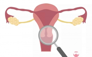 老年妇女做广州三代试管选男孩如何提高成功率？