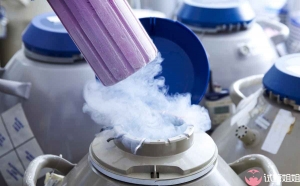 即时咨询单身女性能不能做广州三代试管选男孩？