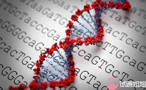 2023年单身女性做深圳三代试管选男孩的成功率高吗？