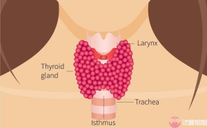 即时咨询女性子宫内膜薄如何做三代试管选男孩包成功？