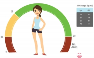 2024年在南昌医院做三代试管婴儿最新的价格明细是如何？