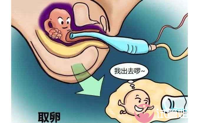 泰国试管婴儿治疗过程中