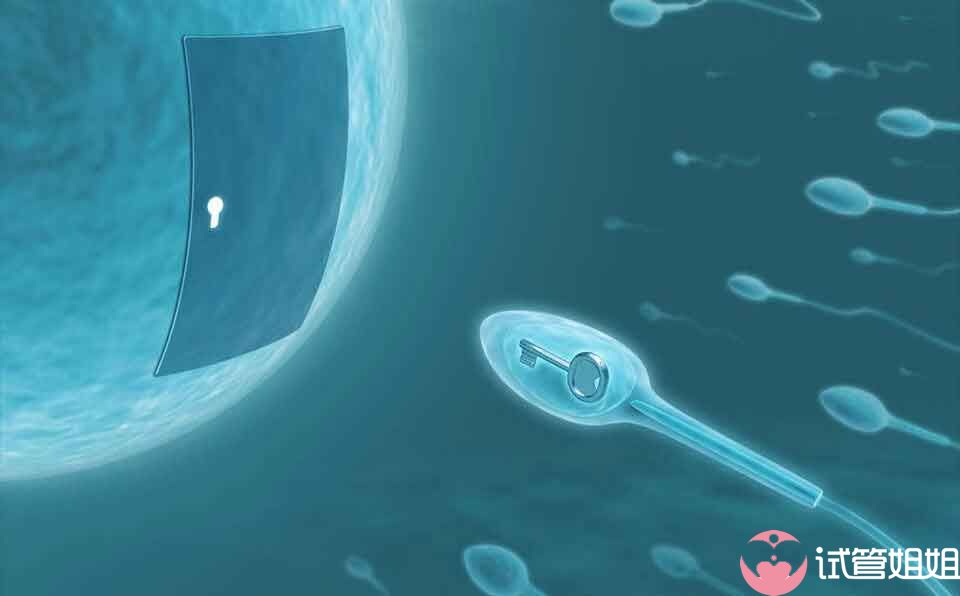 精子形态和其他方面上存在问题时建议使用二代试管