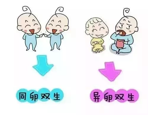 双胞胎试管好吗？试管双胞胎的几率大吗？