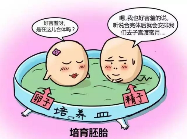 试管婴儿是自己亲生的吗