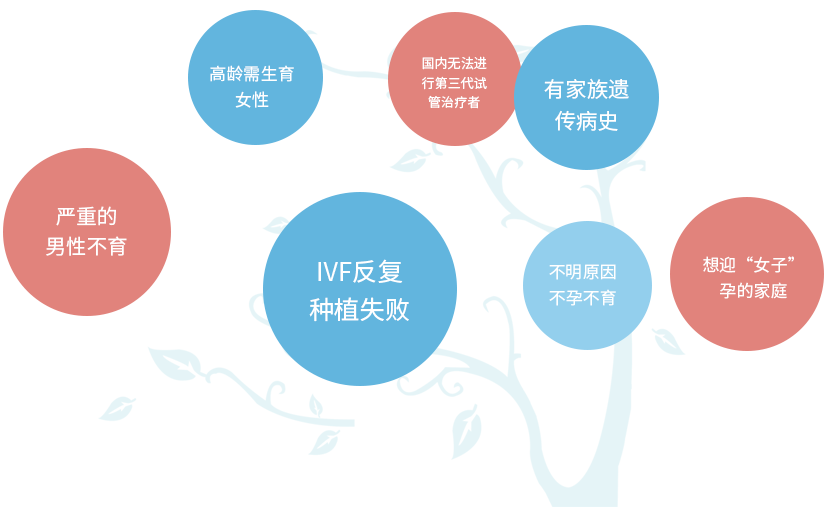 第三代试管泰国费用