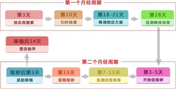 泰国第三代试管大概多少钱