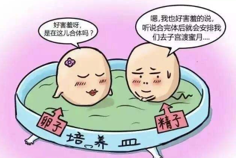 泰国试管婴儿的费用