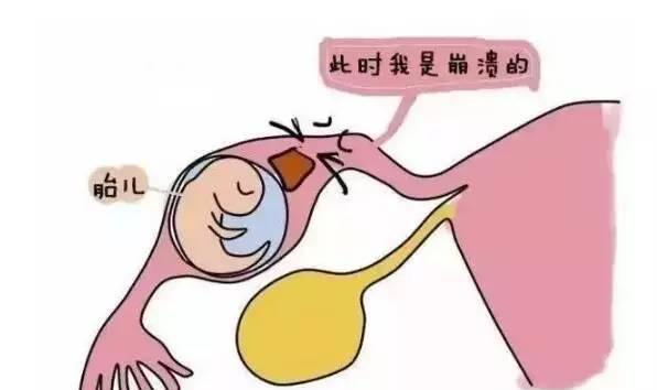 做试管内膜薄怎么办