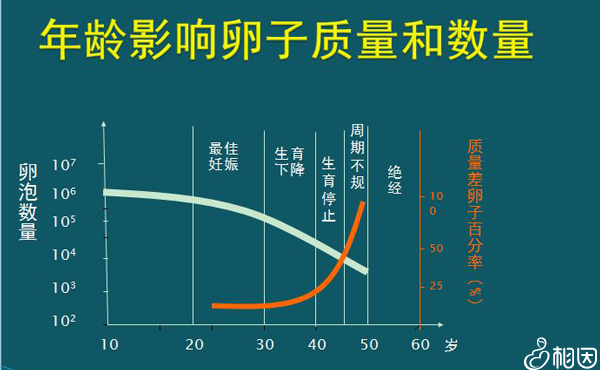 三代试管婴儿私立医院