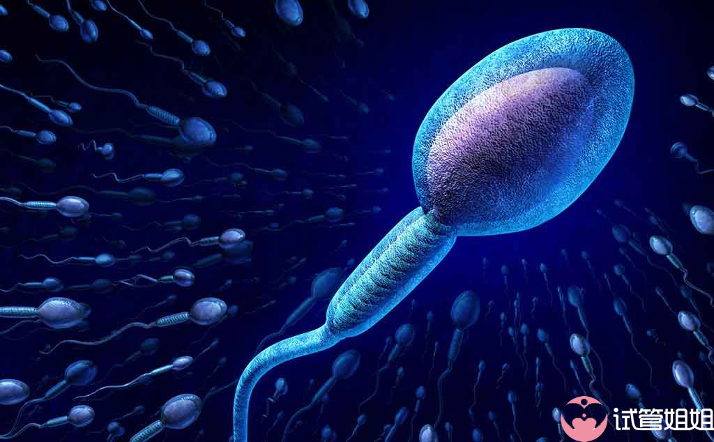 2023年男性想做三代试管选男孩需要养好精子吗
