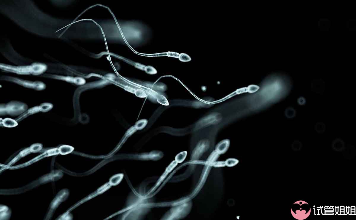 男性熬夜喝酒影响做广州三代试管婴儿的精子质量该如何调养
