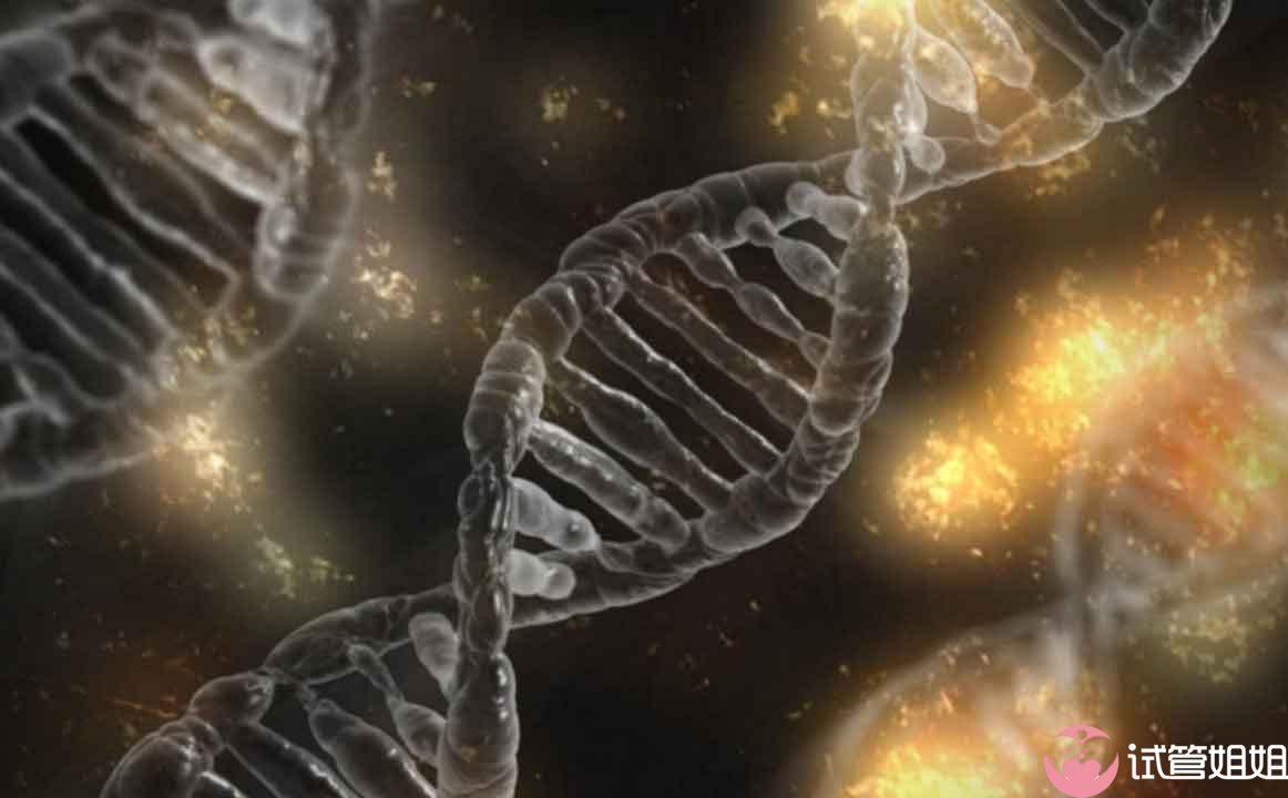 女性卵子质量不好在做广州三代试管婴儿的过程中需要注意什么呢